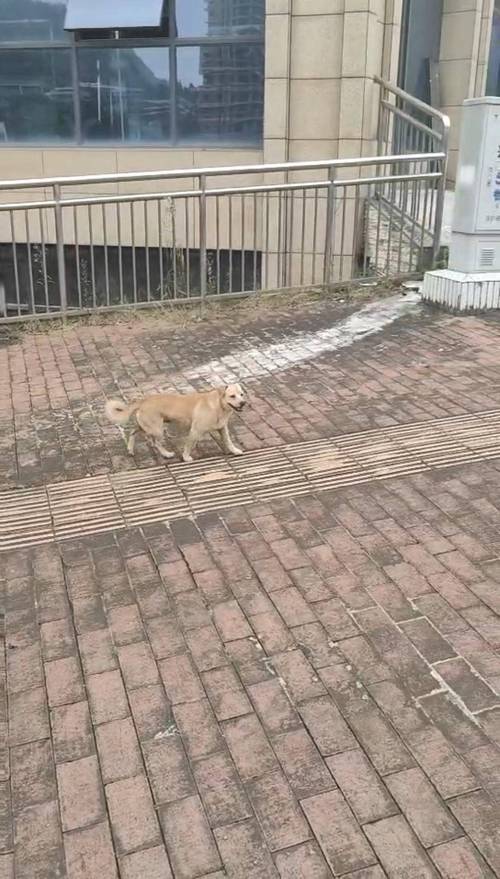 下载中心 第8页