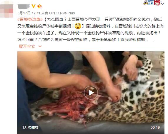 （街头下水道爬出女子身体视频）
