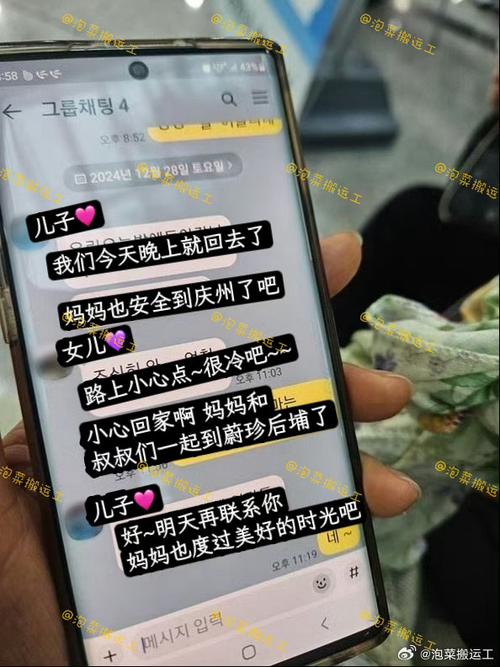 新澳2025资料最新大全和韩国坠机致4人遇难与韩国坠机事件