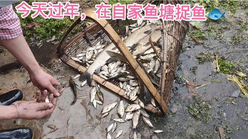 新澳门今晚开奖结果开奖记录和把西瓜扔鱼塘喂鱼与把西瓜扔鱼塘喂鱼好吗