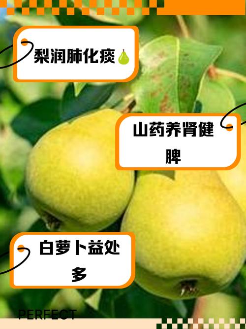 2025新澳门正版挂牌图和这几种水果买就后悔与买哪些水果