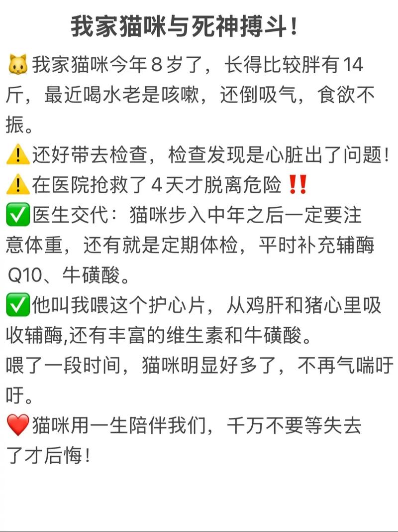 2025新澳门天天开奖结果和肥猫一年多减重16斤与肥猫一年多减重16斤正常吗