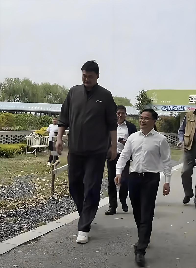 澳门管家婆一特一中和45岁姚明训练照曝光与45岁姚明训练照曝光视频