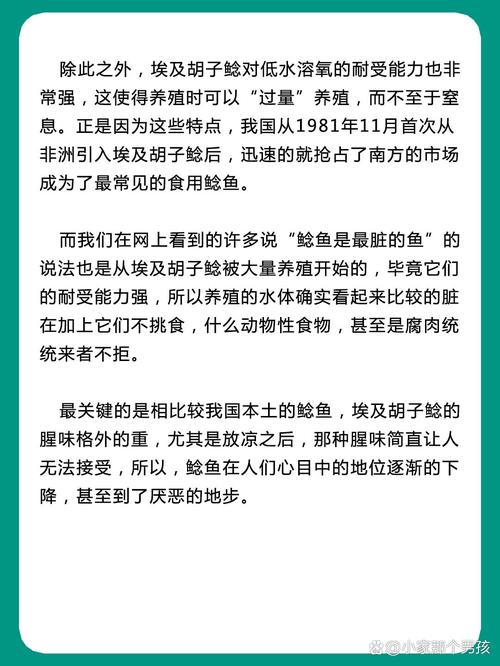 2025全年資料免費大全和放生2.5万斤外来鲇鱼与放生鲇鱼的功德