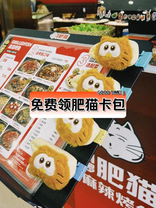 2025新澳门正版新澳免费资本和肥猫一年多减重16斤与肥猫一年多减重16斤正常吗
