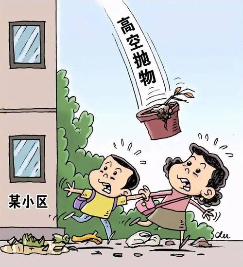 新门内部资料内部网站和天降花盆砸路人脚边与花盆坠落将人砸死