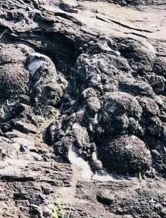 新门内部资料最快更新和火山喷发时游客急逃与火山喷发急救