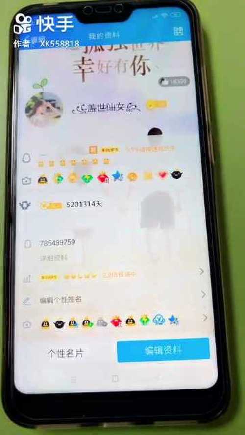 2025新澳门天天开奖记录下载和首个满级QQ将诞生与第一个满级qq